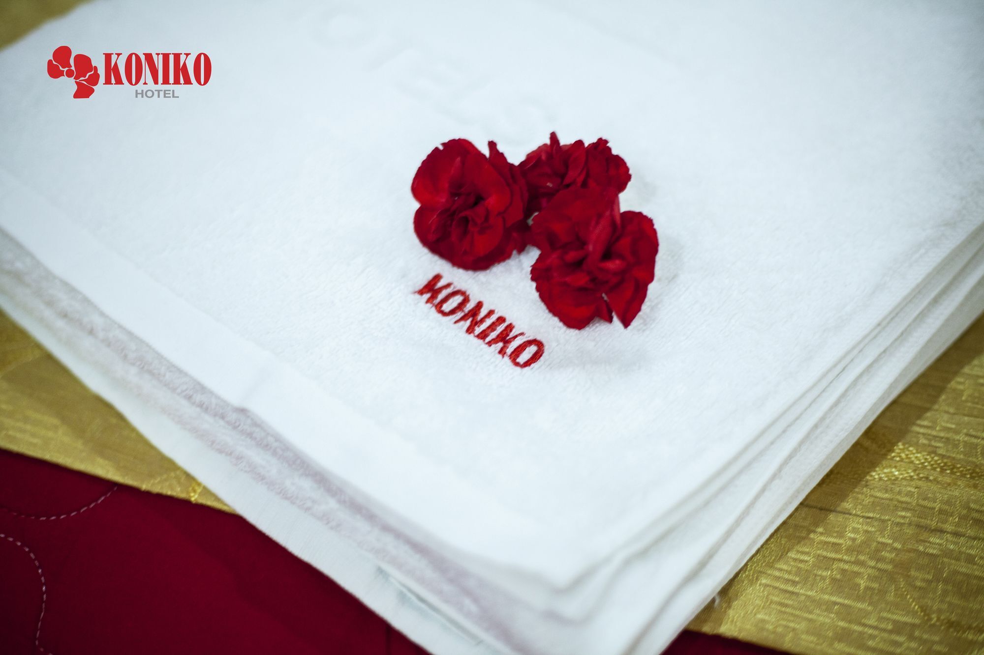 Koniko Hotel Ho Chi Minh-stad Buitenkant foto